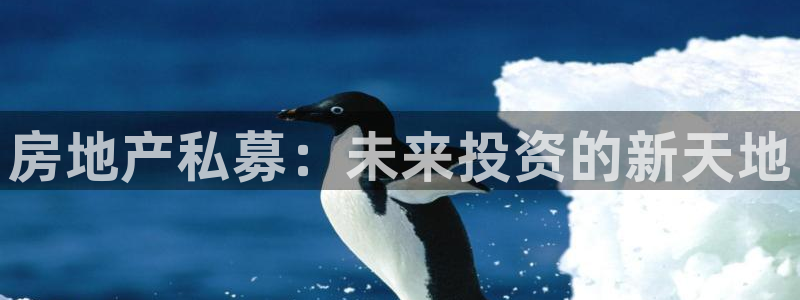 新宝5如何下载：房地产私募：未来投资的新天地