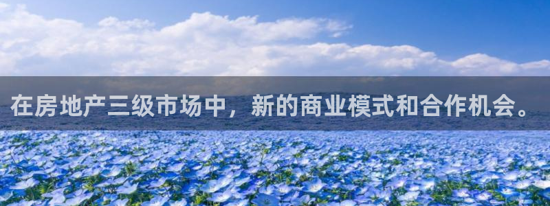 新宝5下载软件：在房地产三级市场中，新的商业模式和合作机会。