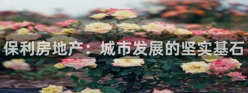 老新宝5授权登录：保利房地产：城市发展的坚实基石