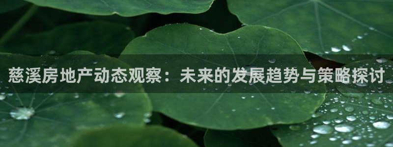 新宝5彩票娱乐平台：慈溪房地产动态观察：未来的发展趋势与策略