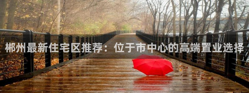 新宝5是什么样子的：郴州最新住宅区推荐：位于市中心的高端置业