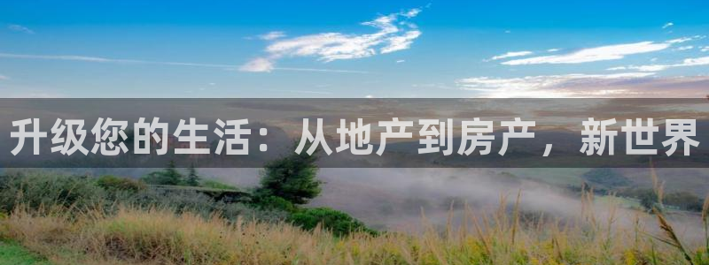 新宝5骗术：升级您的生活：从地产到房产，新世界